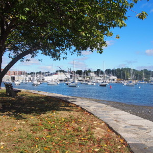 【Harbor Island Park】 Mamaroneckのリッチに海が見渡せる公園