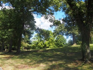 【Malcolm Wilson Park】 Tuckahoe、Yonkersの小さな丘にある公園