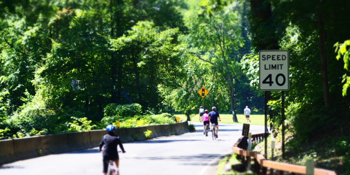 Bronxs River Park Way – Bicycle Sundays