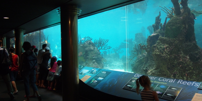 【New York Aquarium】 コニーアイランドビーチ沿いのニューヨーク水族館